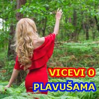 Blonderica - Vicevi o plavušama