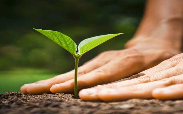 Prirodno liječenje bolesti